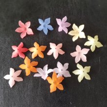 15 flores de forcicia variadas