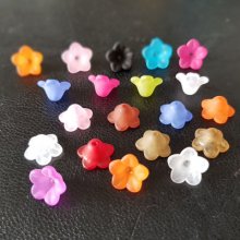 20 flores de miosótis variadas