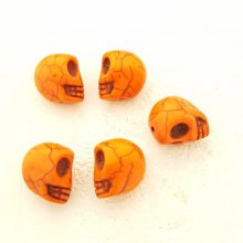Lote 01 Crânios de Howlite coloridos 18 mm