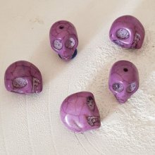 Lote 08 Crânios de Howlite coloridos 18 mm
