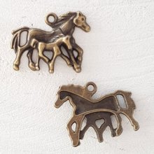 Encanto do cavalo N°04