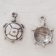 Encanto da tartaruga N°04