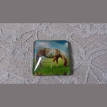 Cabochão de vidro quadrado 30mm 001 