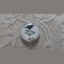 cabochão de vidro redondo 20mm aves 019 