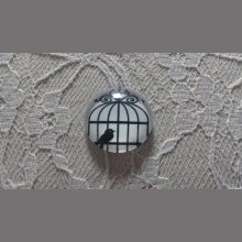 cabochão de vidro redondo 20mm aves 007 