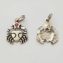 Pendente signo do zodíaco Câncer Metal prateado N°03 com strass