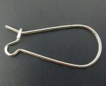 Suporte para brincos Dormeuse 25mm N°06 x 1 par