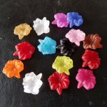 15 flores de orquídea sortidas