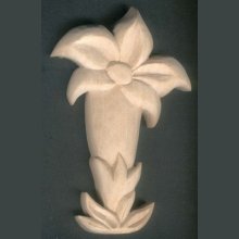 Genciana não encerada