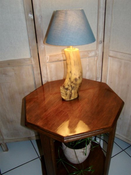 L&acirc;mpada florestal, a natureza e as suas maravilhas 