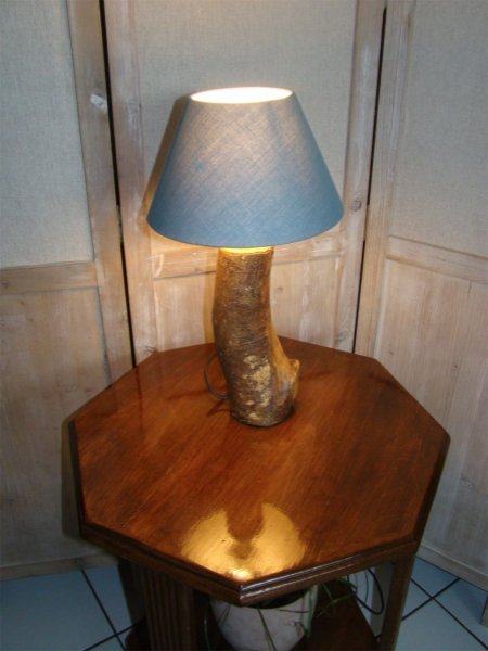 L&acirc;mpada florestal, a natureza e as suas maravilhas 