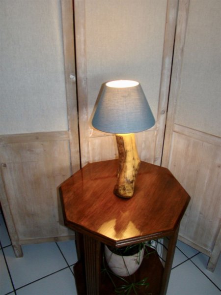 L&acirc;mpada florestal, a natureza e as suas maravilhas 