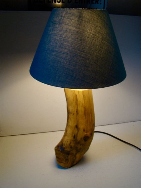 L&acirc;mpada florestal, a natureza e as suas maravilhas 