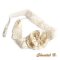 acessório de casamento de rendas antigas pulseira de cabelo romântico marfim e flor