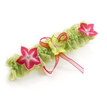 flores de anis de ligas de anis fuschia