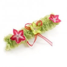 flores de anis de ligas de anis fuschia