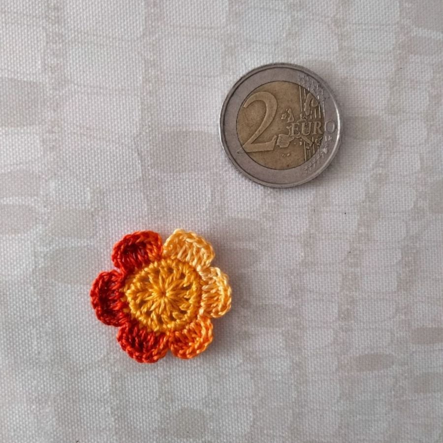 Sally - a pequena flor de duas cores