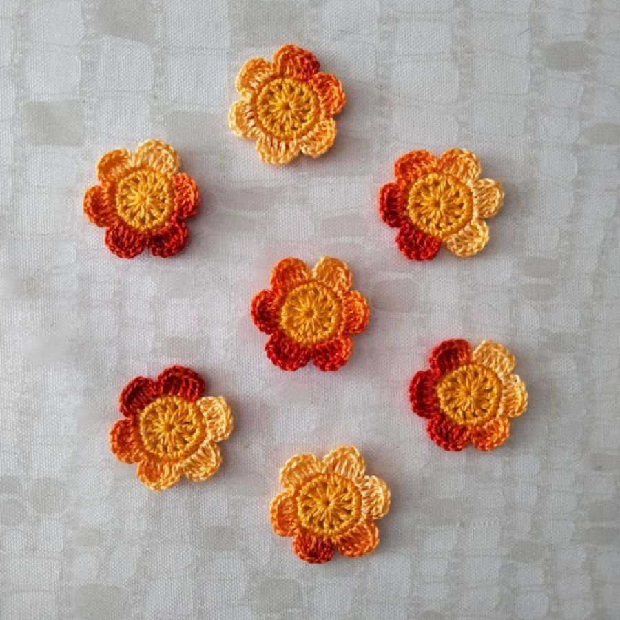 Sally - a pequena flor de duas cores