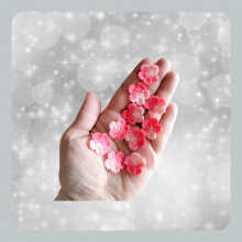 Souad - do branco ao rosa - flor aplicada