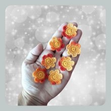Sally - a pequena flor de duas cores