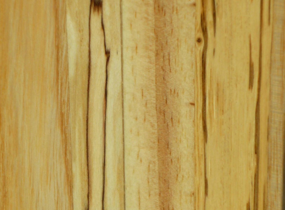 Lâmpada de Mesa 56 Cm, Madeira Nobre : Cinzas, Bétula Marmorizada