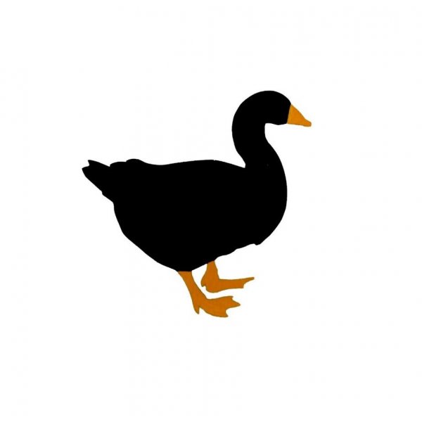 Modelo de parede ou placa de porta de madeira: ganso 27x28 cm