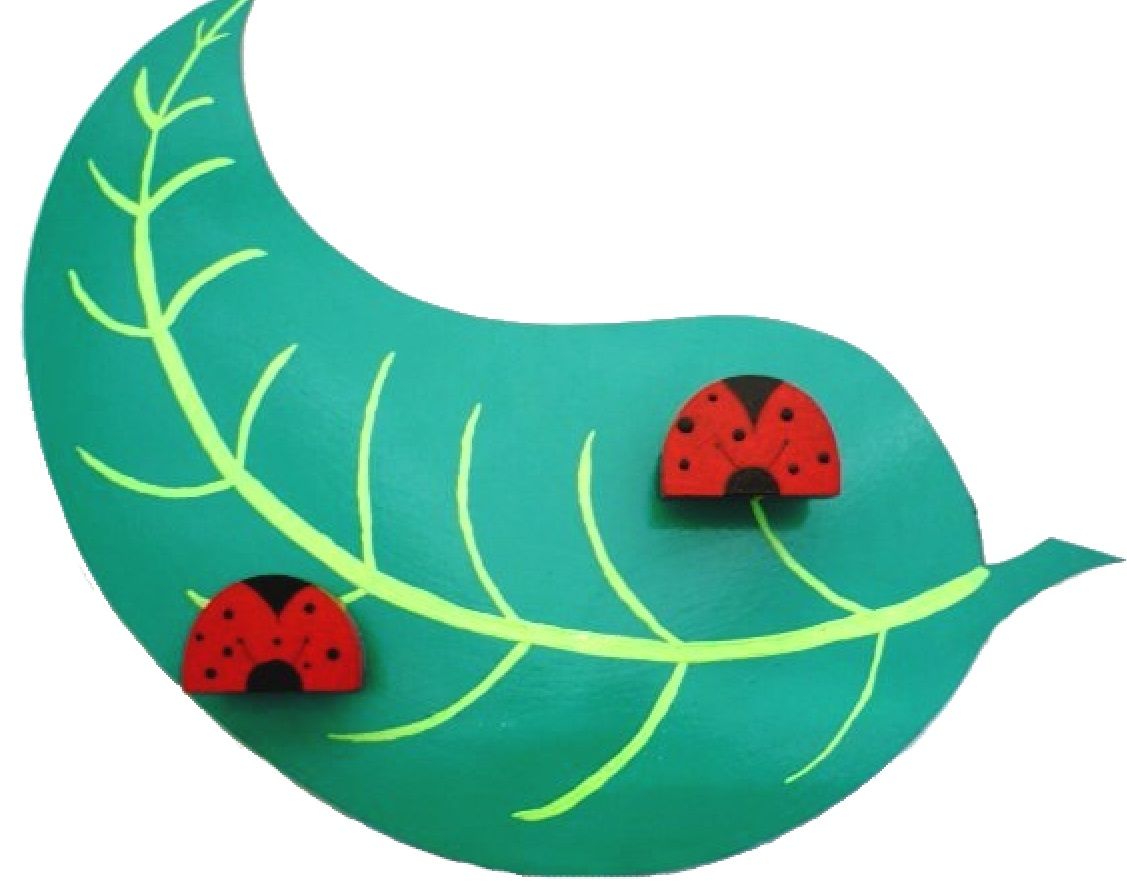 Porta-capas e copo de lápis Ladybird e folha