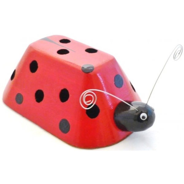 Porta-capas e copo de lápis Ladybird e folha