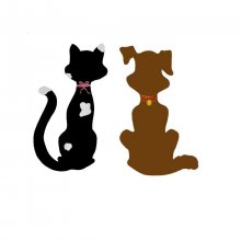 Casal de gato e cão como decoração de parede 
