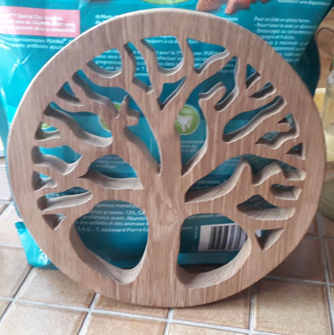 Placa de montanha-russa da vida