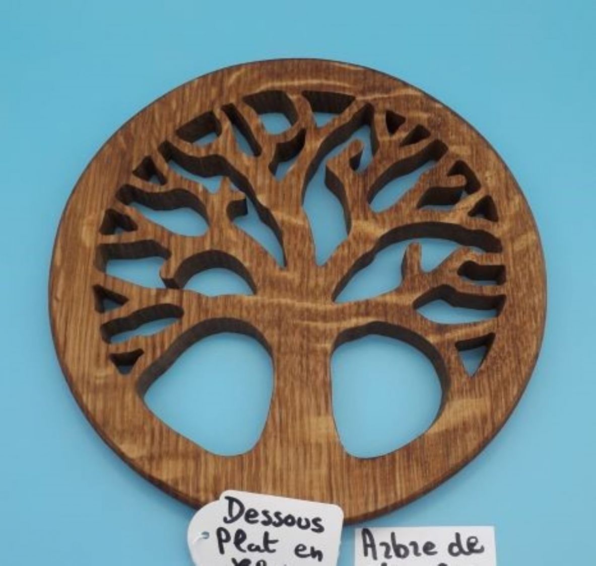 Placa de montanha-russa da vida