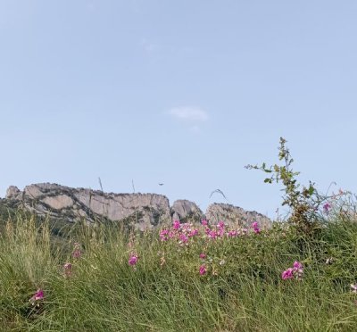 Criações inspiradas na natureza
